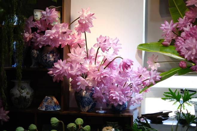 Chị đẹp Hà Thành biến nhà thành rừng hoa nhiệt đới với 1.000 bông sen Nghi Lương-10