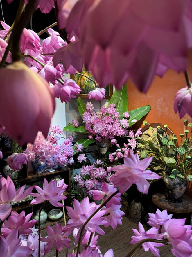 Chị đẹp Hà Thành biến nhà thành rừng hoa nhiệt đới với 1.000 bông sen Nghi Lương-14