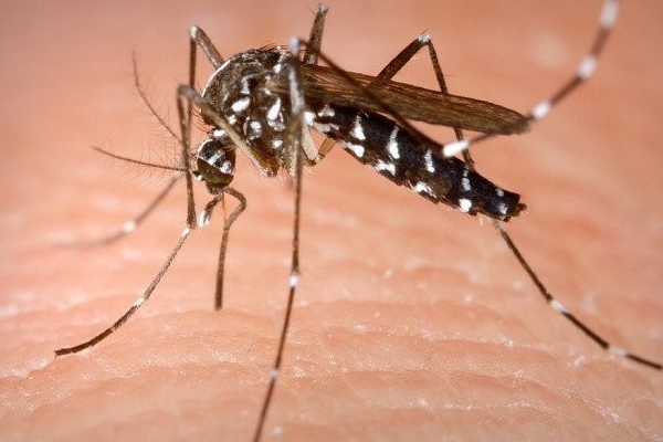 Nguyên tắc 3 không giúp chọn mua thịt bò tươi ngon-7