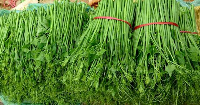 2 loại rau dễ tắm thuốc trừ sâu, cái số 1 thường xuất hiện trong bữa ăn của nhiều gia đình-1