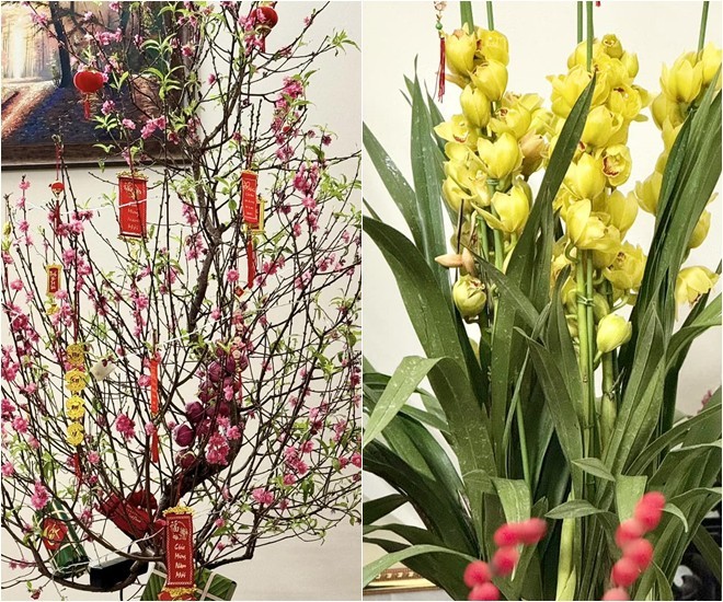 Cận cảnh cơ ngơi 3 tầng của bà Mến Trạm cứu hộ trái tim: Khang trang, rộng rãi nhưng không xa hoa-8