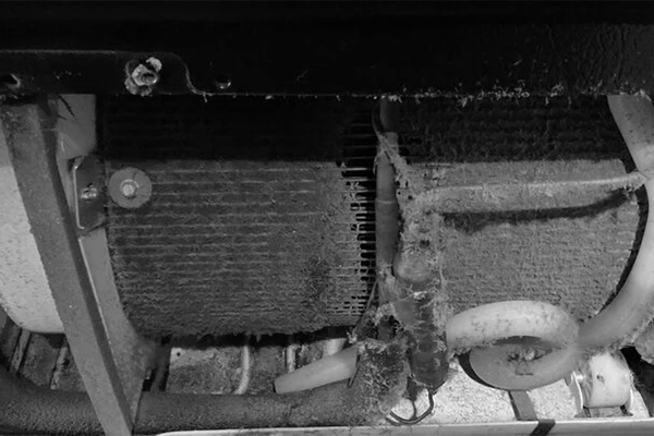 Mùa hè nên cài đặt tủ lạnh ở chế độ nào để tiết kiệm điện nhất?-2