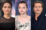 Brad Pitt và Angelina Jolie dây dưa gần 10 năm, chưa thể ly hôn-3