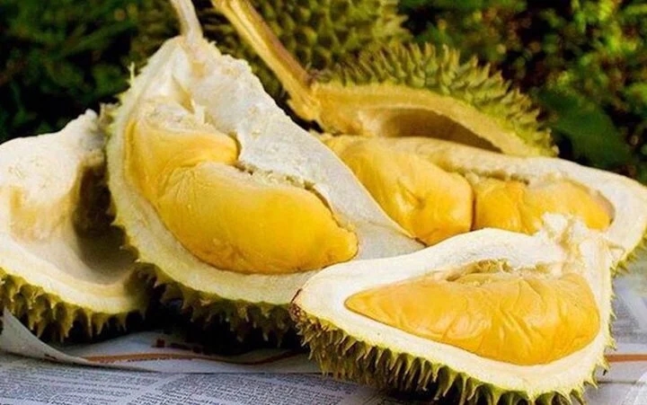 Những bài thuốc trị bệnh từ sầu riêng bạn nên biết-1