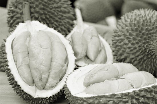 Những bài thuốc trị bệnh từ sầu riêng bạn nên biết