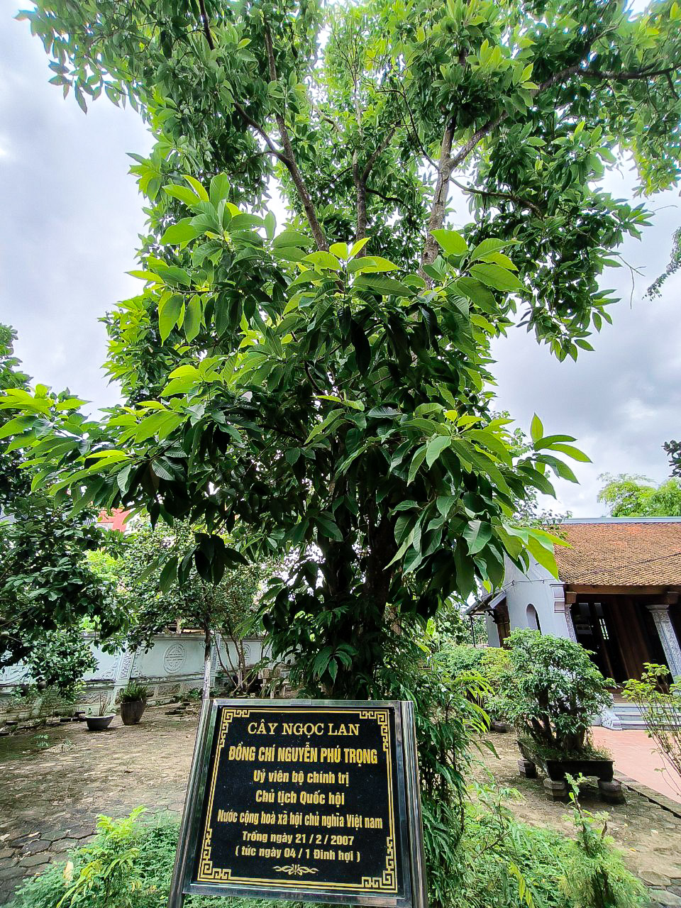 Hình ảnh những hoạt động của Tổng Bí thư Nguyễn Phú Trọng tại quê nhà-10