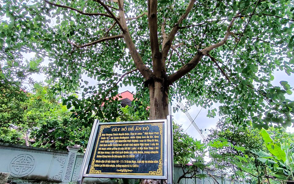 Hình ảnh những hoạt động của Tổng Bí thư Nguyễn Phú Trọng tại quê nhà-11