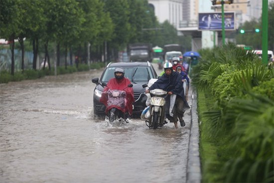 Bão đổ bộ đất liền, vùng ảnh hưởng rất rộng