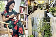 BTV Hoàng Trang VTV khoe 'góc chữa lành' tại gia, được chị em ngưỡng mộ vì tài cắm hoa khéo léo