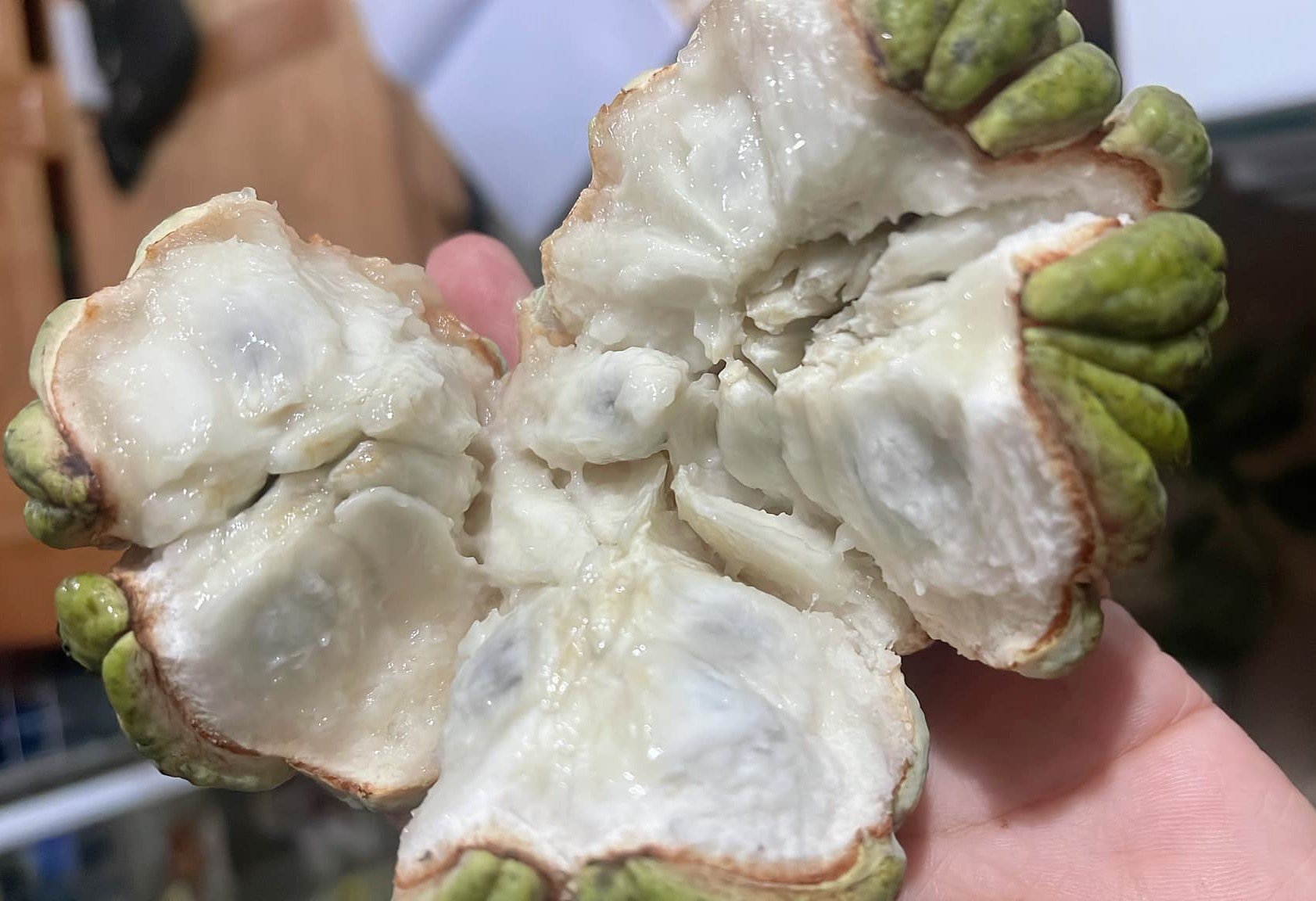 Loại quả một thời từng thất sủng”, nay giá cao ngất” vẫn đắt hàng-1