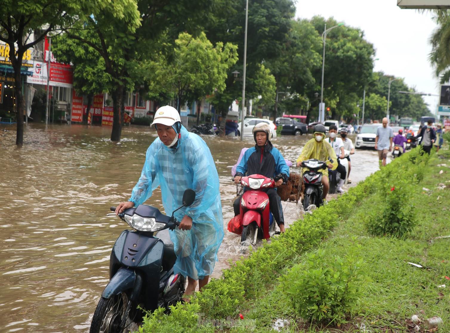 Ốc đảo triệu đô ngập sâu, người dân vật vã lội nước đi làm-16