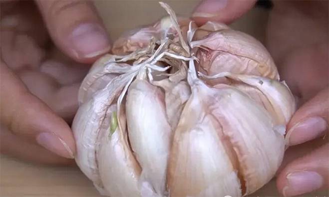 Mua tỏi nên chọn loại màu tím hay màu trắng?-6