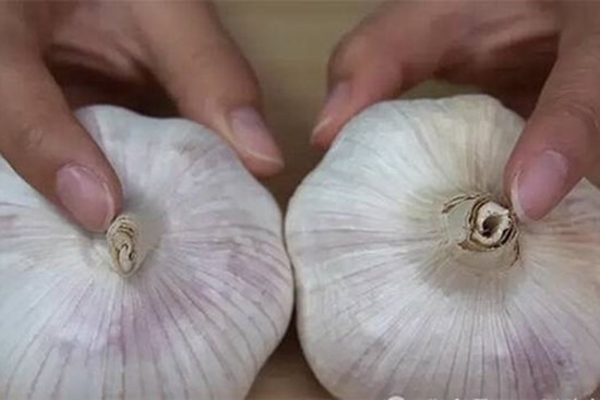 Mua tỏi nên chọn loại màu tím hay màu trắng?