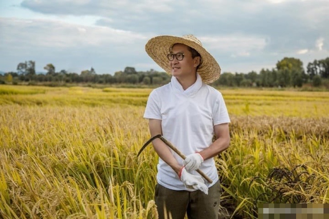 Cuộc sống khác biệt của Nhĩ Khang Hoàn Châu Cách Cách” khi về quê trồng lúa, sở hữu tài sản trăm tỷ?-5