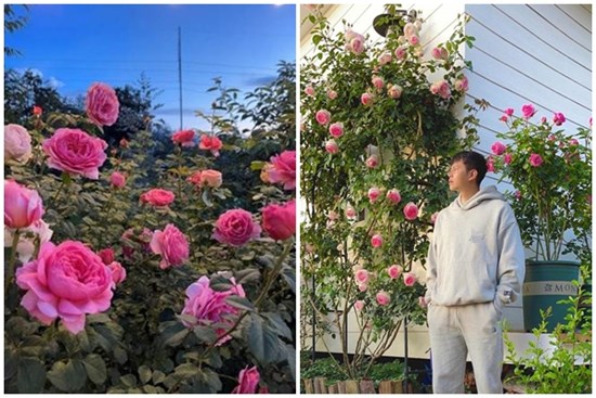 Chàng trai bỏ TP.HCM lên Đà Lạt trồng vườn hoa hồng đẹp tựa trời Tây, sở hữu hơn 400 giống hồng hiếm