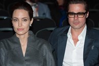 Brad Pitt và Angelina Jolie dây dưa gần 10 năm, chưa thể ly hôn