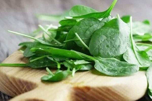 Rau mồng tơi thanh mát ngày hè nhưng khi ăn cần lưu ý những điều này-1