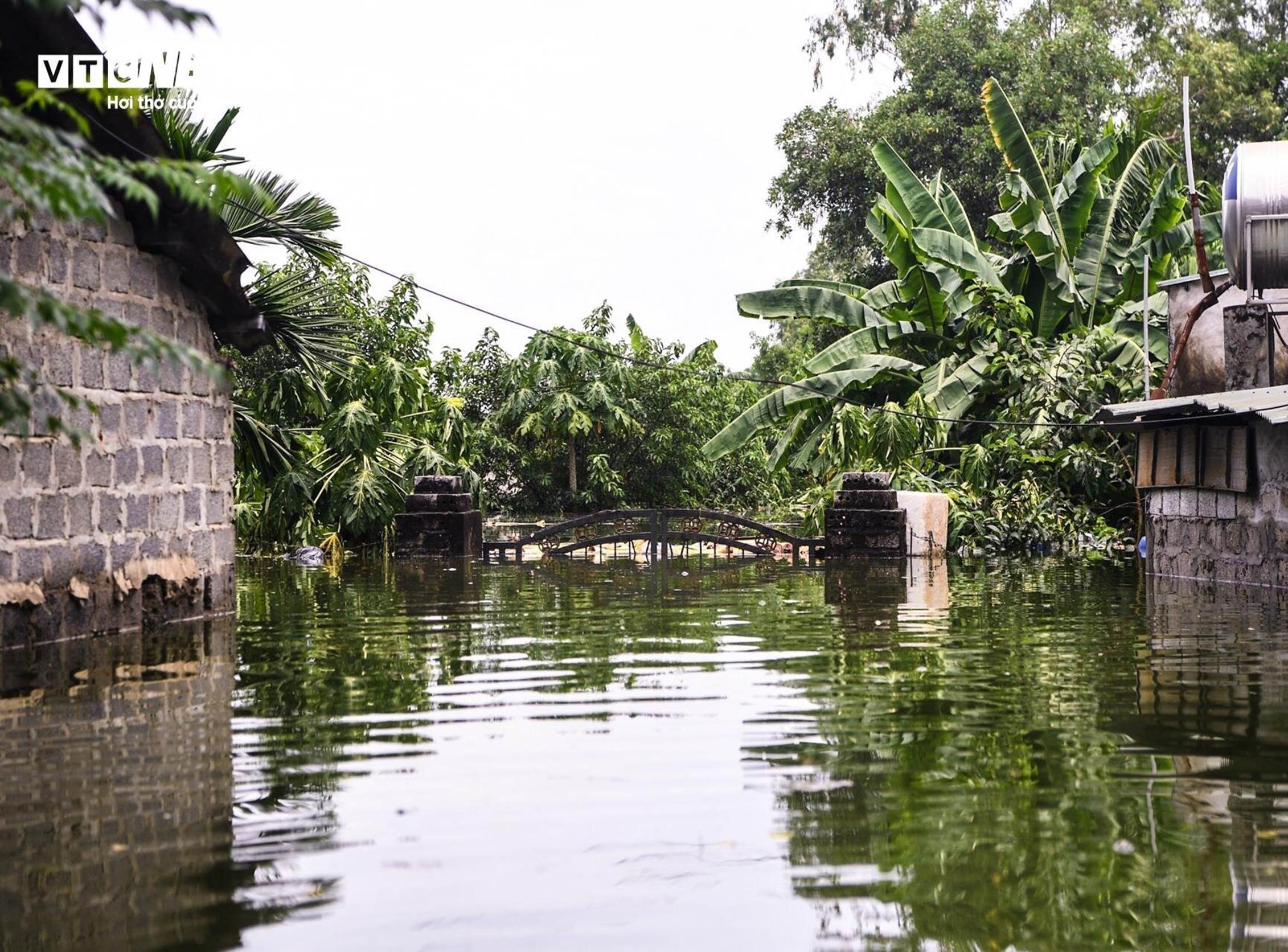 Bị cô lập vì nước lũ, dân Hà Nội sống cảnh không điện nước, chèo thuyền vào làng-1