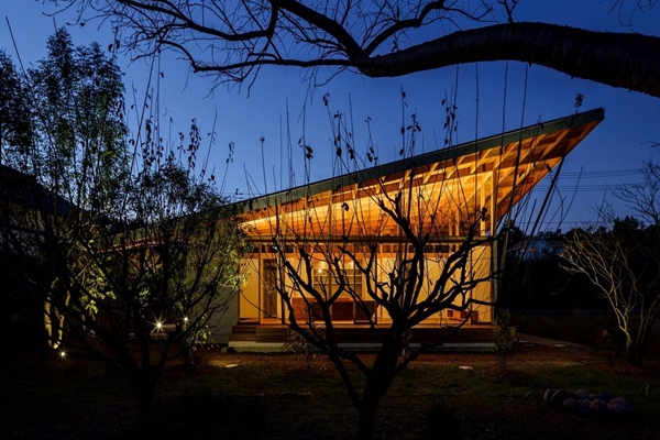 Gia đình ở Hà Nội dựng nhà gỗ 3 gian, làm vườn quê Bắc Bộ sum sê trên tầng 5-16