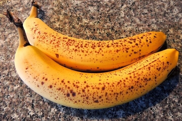 Cách đuổi kiến khỏi lọ đường cực dễ-4