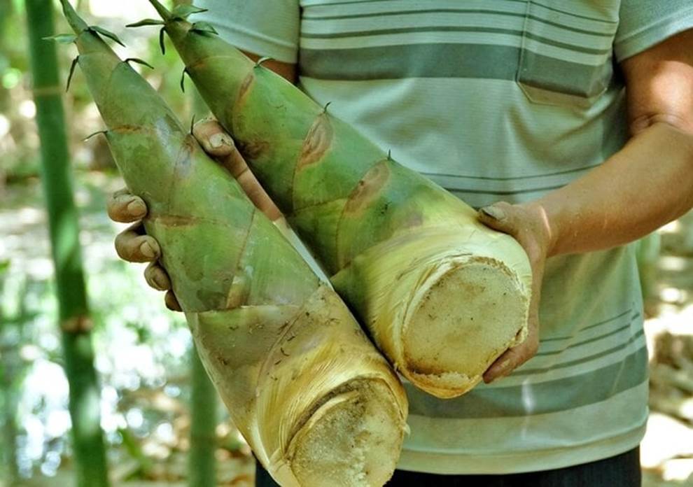 Mẹo ngâm măng ớt trắng giòn đơn giản-1