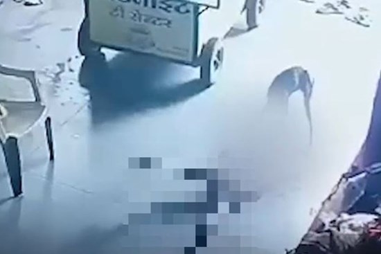 Chó hoang liều lĩnh vào tận nhà tấn công rồi kéo bé trai ra khỏi ghế