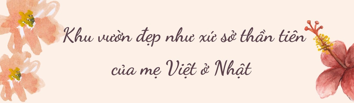 Mẹ đảm chi 60 triệu làm vườn ở Nhật: Rau quả Việt ngập lối, 60 gốc hoa hồng quanh năm khoe sắc hương-2