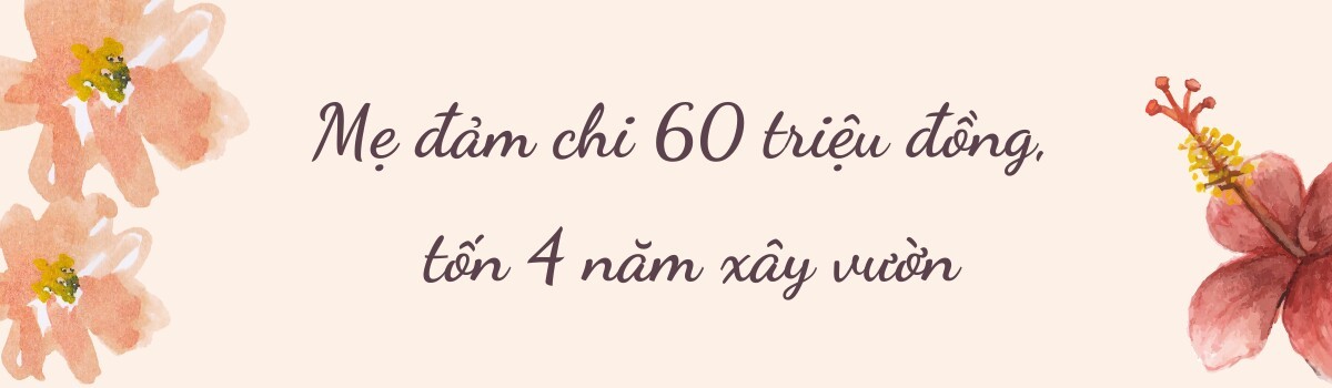 Mẹ đảm chi 60 triệu làm vườn ở Nhật: Rau quả Việt ngập lối, 60 gốc hoa hồng quanh năm khoe sắc hương-7