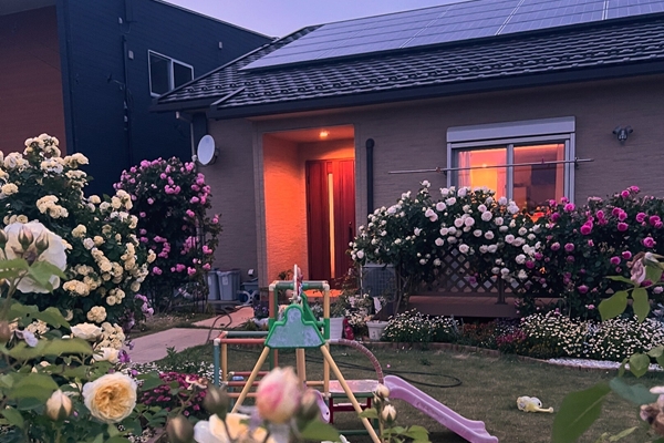 Người phụ nữ Việt phủ kín khu vườn ở Australia bằng cả trăm cây hoa hồng rực rỡ-9