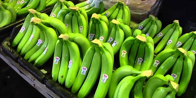 6 cách ăn chuối giúp cân nặng tụt dốc không phanh, giảm cân cấp tốc-3