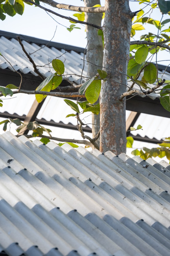 Độc đáo kiểu nhà mái Thái cho gia đình thích nuôi thú cưng-19