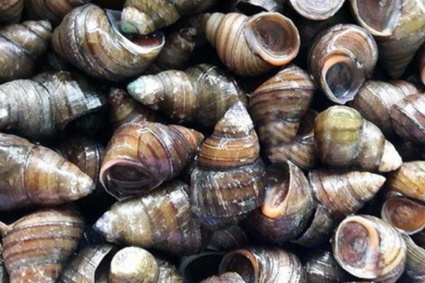 Quần áo mới mua có nhất thiết phải giặt trước khi mặc?-3