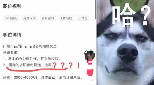 Công ty hứng bão chỉ trích vì không tuyển người tuổi Tuất-1