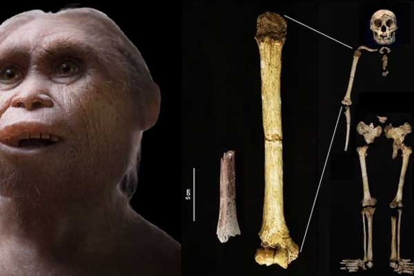 Khám phá sốc về người khác loài bị thu nhỏ” ở Indonesia-1