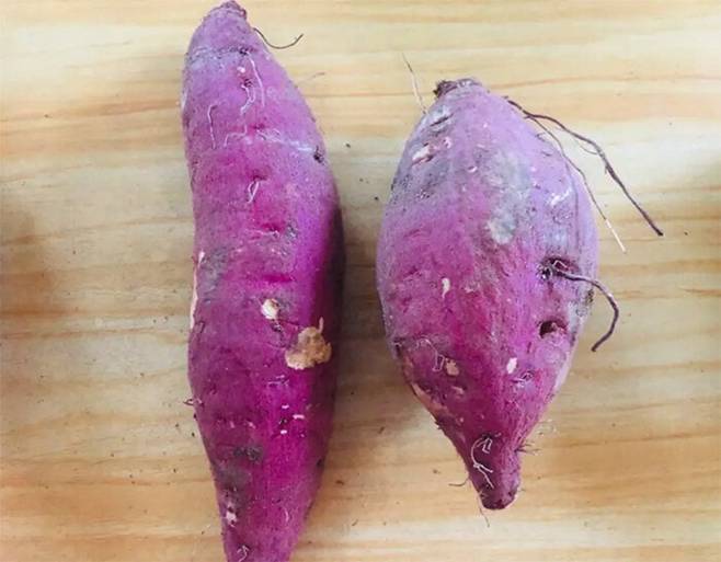 Khi mua khoai lang nên chọn loại béo hay gầy?-1