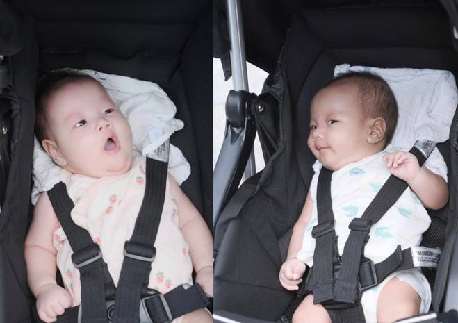 Cặp song sinh nhà Shark Bình 3 tháng tuổi mặc hàng hiệu chục triệu, Phương Oanh thừa nhận 2 con y hệt bố-6