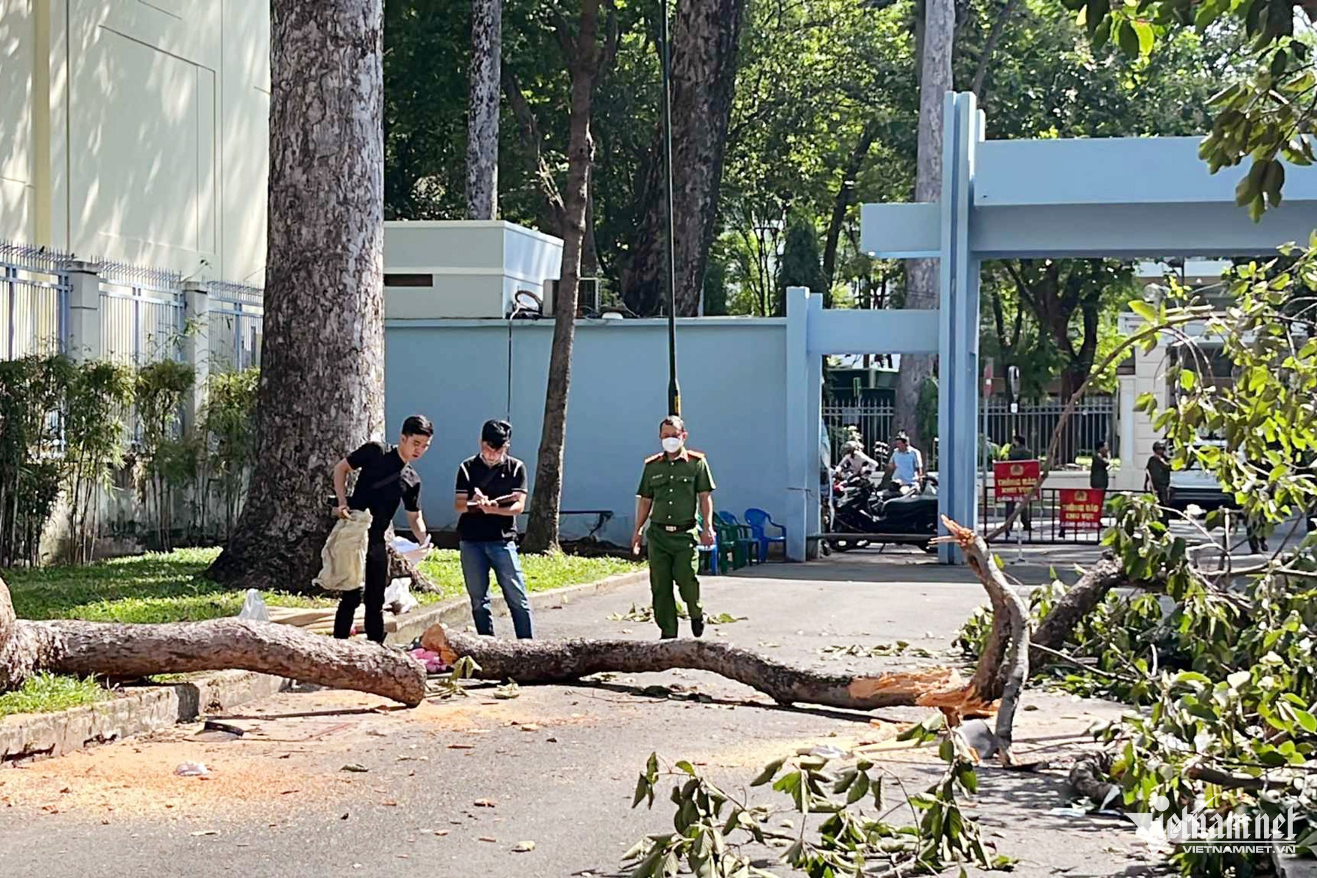 Cây xanh gãy nhánh trong công viên, đè chết 2 người-1