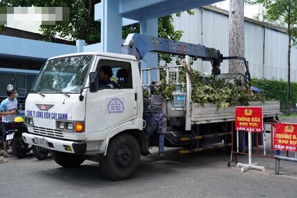 TP.HCM: Nhân chứng kể cảnh cành cây rơi đè chết người ở công viên Tao Đàn-1