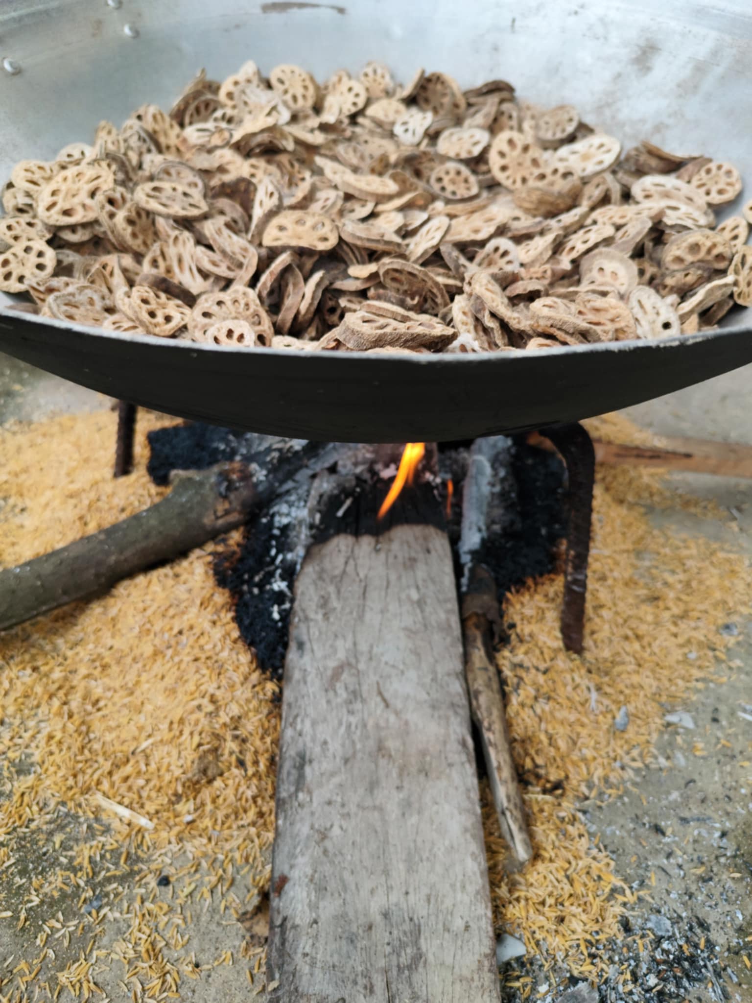 Làm trà từ loại củ lấy từ dưới bùn lên, anh nông dân bán nửa tấn mỗi năm-4