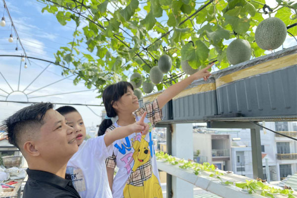 Ông bố TPHCM làm khu vườn không cần đất, cả nhà thoải mái hưởng trái ngọt-1
