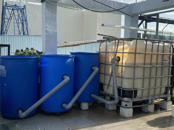 Ông bố TPHCM làm khu vườn không cần đất, cả nhà thoải mái hưởng trái ngọt-2