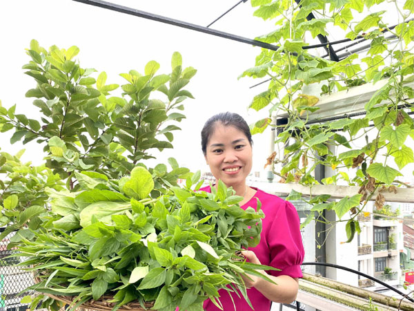 Ông bố TPHCM làm khu vườn không cần đất, cả nhà thoải mái hưởng trái ngọt-8