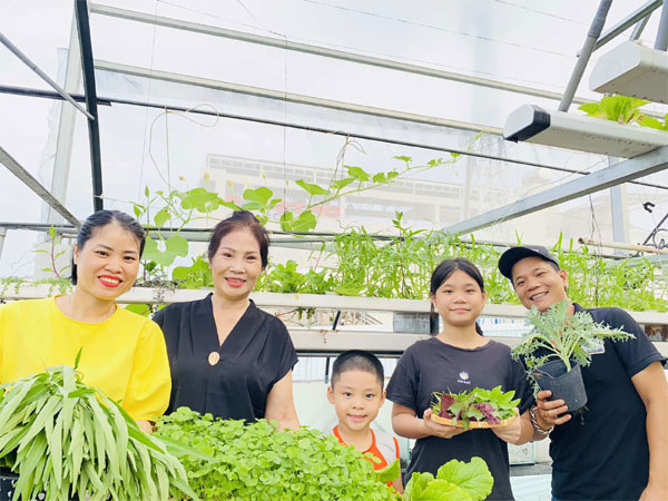 Ông bố TPHCM làm khu vườn không cần đất, cả nhà thoải mái hưởng trái ngọt-9