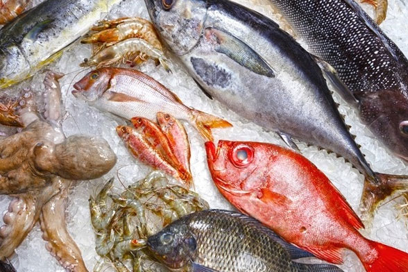 Đã tìm ra liệu pháp ngừa ung thư tái phát-2