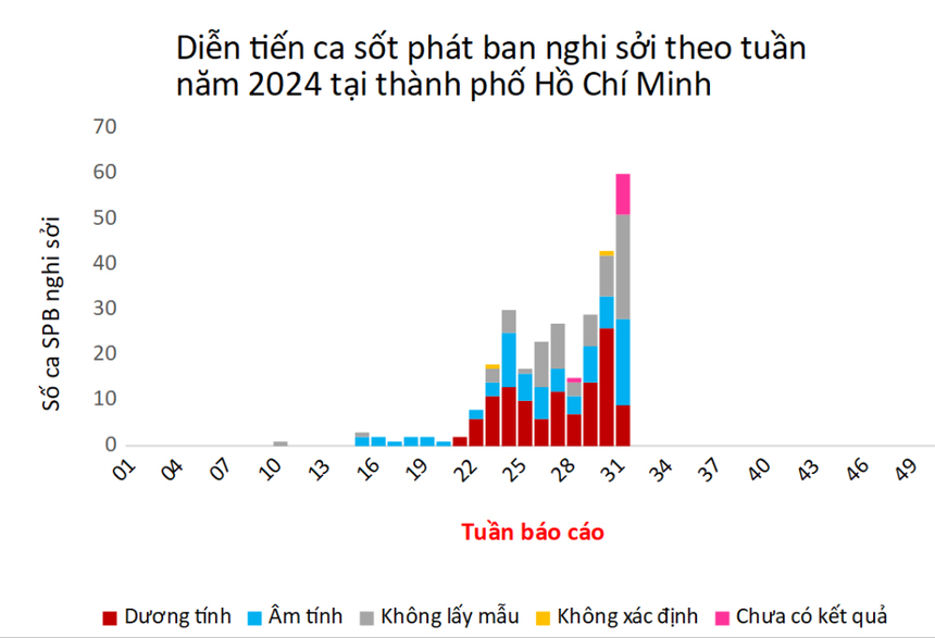 TPHCM: 3 trẻ dưới 7 tuổi tử vong đều liên quan đến bệnh sởi-2