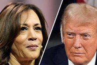 Ông Trump tố bà Harris 'né' phỏng vấn, dùng đám đông cử tri giả