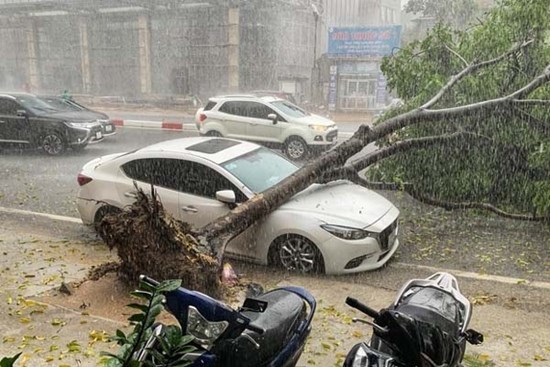 Chủ tịch Hà Nội ký công điện 