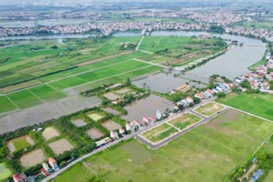 Đất đấu giá Thanh Oai, Hà Nội trúng 100 triệu/m2: Đắt gấp 2-3 giá quanh vùng, đu đỉnh?