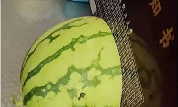 Giấy báo đỗ đại học bổ được dưa, băm được thịt khiến giới trẻ phát cuồng-2