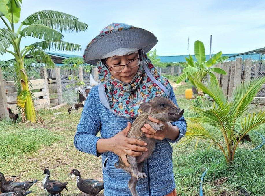 Bất ngờ thịt lợn rừng được rao bán với giá siêu rẻ”, ba chỉ giá từ 95 nghìn đồng/kg-5